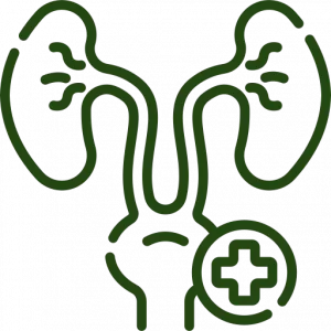 Urologia Istituto Hospardo Messina